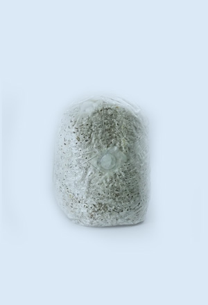 category micelyi