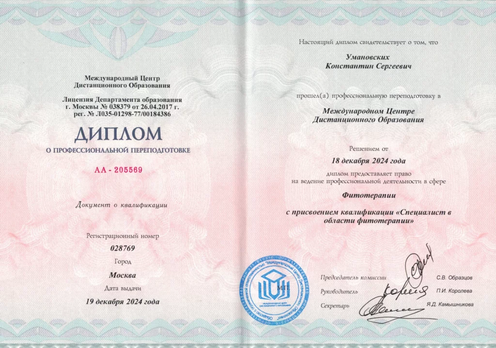 diplom travoslav 3