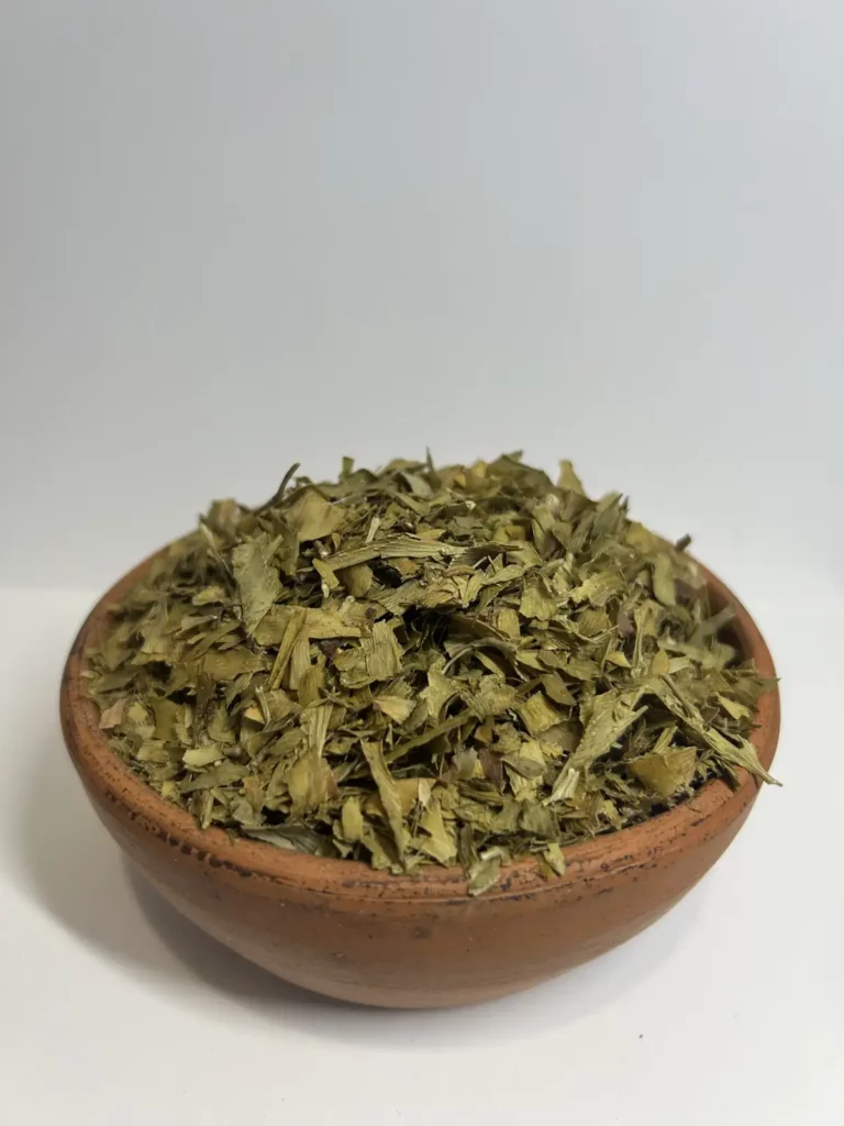 gingko biloba list 1
