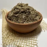 Курильский чай побег