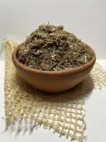 Курильский чай побег