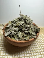 Мать-и-мачеха лист