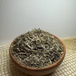 Подорожник большой