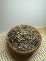 Подорожник большой — изображение 2