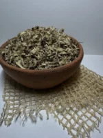 Солодка уральская, корень — изображение 3