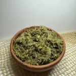 Золотарник канадский