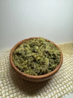 Золотарник канадский