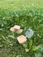 Мазь с мухомором